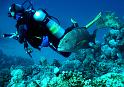 34 IMG_2197c